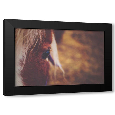 The Eye Black Modern Wood Framed Art Print with Double Matting by Poynter, Kelly