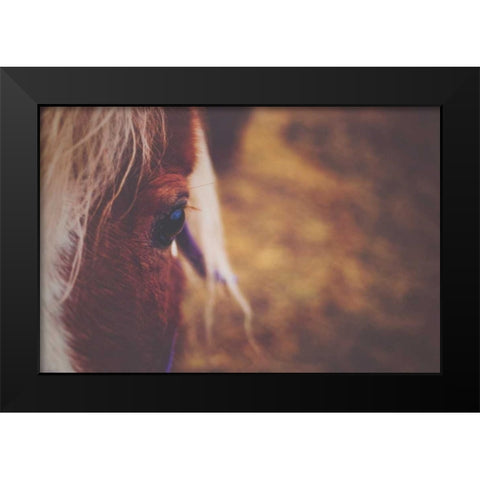 The Eye Black Modern Wood Framed Art Print by Poynter, Kelly