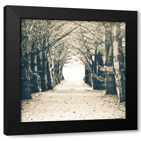 Woods Square Black Modern Wood Framed Art Print with Double Matting by Poynter, Kelly