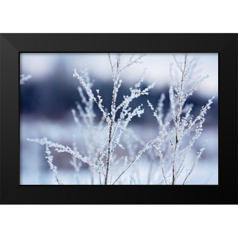 Flakes on Branches Black Modern Wood Framed Art Print by Poynter, Kelly