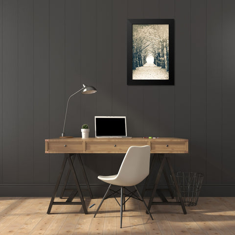 Woods Black Modern Wood Framed Art Print by Poynter, Kelly