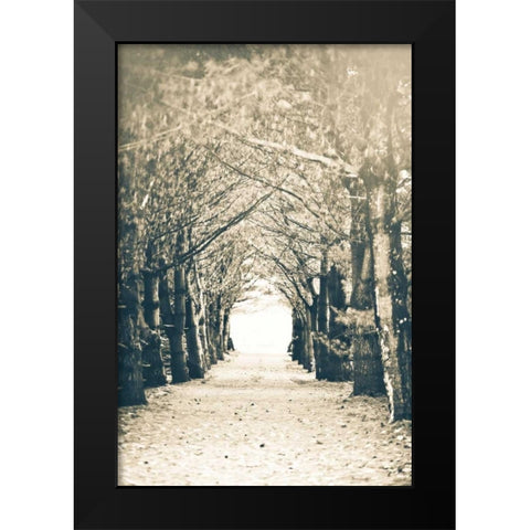 Woods Black Modern Wood Framed Art Print by Poynter, Kelly