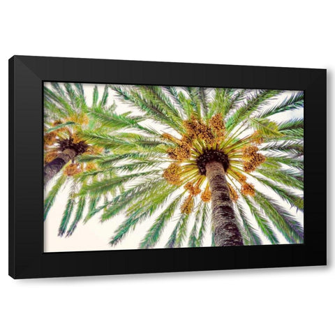 Chic Palms I Black Modern Wood Framed Art Print by Acosta