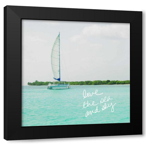 Sailing Along The Island II Black Modern Wood Framed Art Print with Double Matting by Acosta