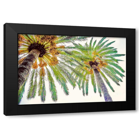 Chic Palms II Black Modern Wood Framed Art Print with Double Matting by Acosta