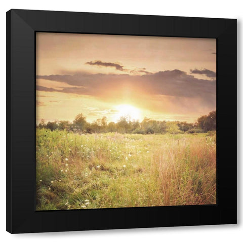 Field of Warmth Square Black Modern Wood Framed Art Print with Double Matting by Poynter, Kelly