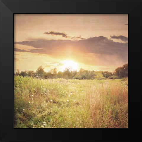 Field of Warmth Square Black Modern Wood Framed Art Print by Poynter, Kelly