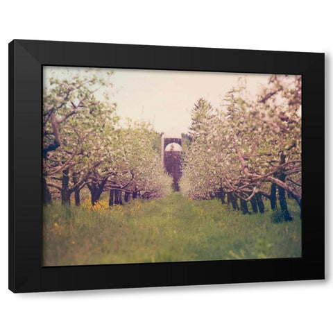 Silo View Black Modern Wood Framed Art Print with Double Matting by Poynter, Kelly