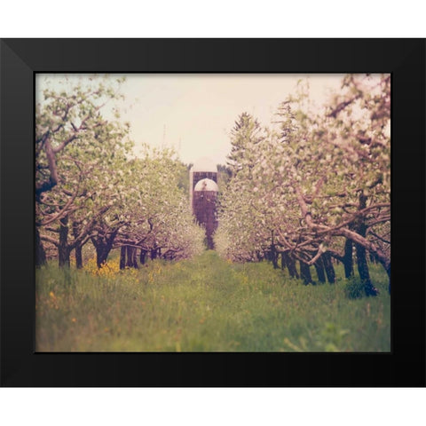 Silo View Black Modern Wood Framed Art Print by Poynter, Kelly