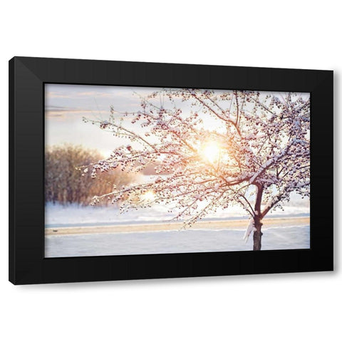 Winter Sunrise Black Modern Wood Framed Art Print by Poynter, Kelly