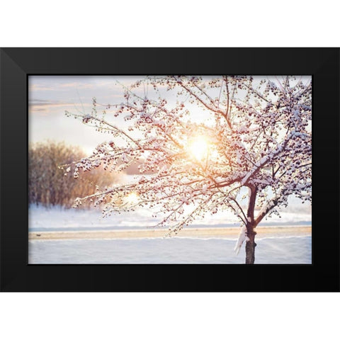 Winter Sunrise Black Modern Wood Framed Art Print by Poynter, Kelly