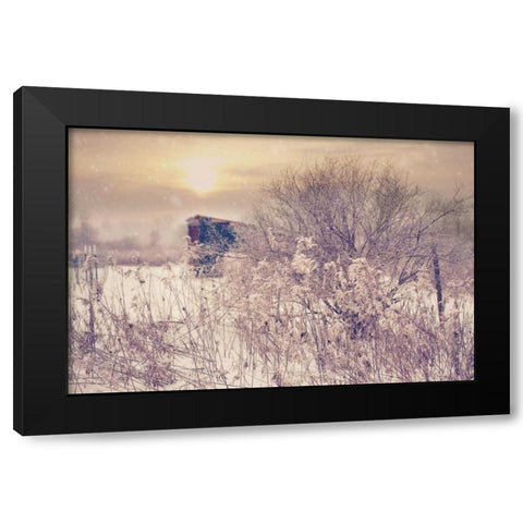 Winter Sunset Black Modern Wood Framed Art Print by Poynter, Kelly