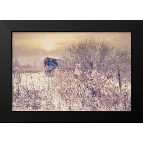 Winter Sunset Black Modern Wood Framed Art Print by Poynter, Kelly