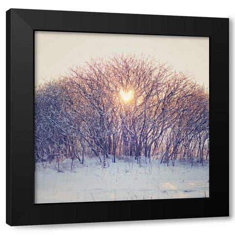 Lovely Sunrise Black Modern Wood Framed Art Print with Double Matting by Poynter, Kelly