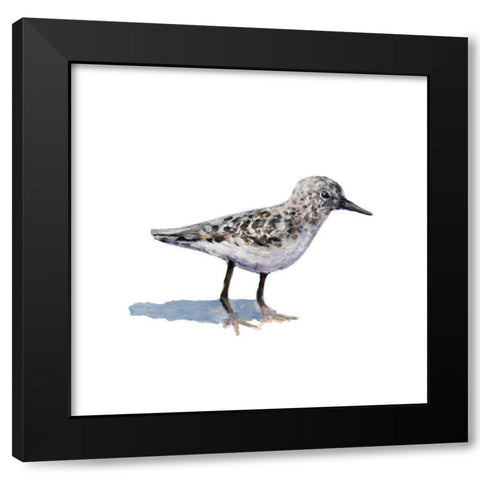 Sandpiper on White I Black Modern Wood Framed Art Print by Johnson, Walt