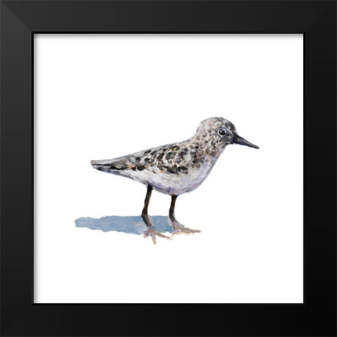 Sandpiper on White I Black Modern Wood Framed Art Print by Johnson, Walt