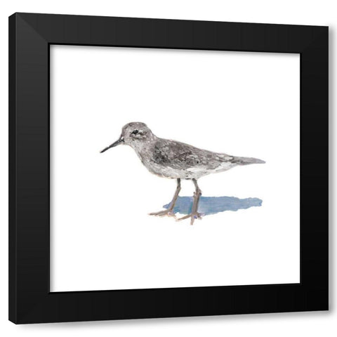Sandpiper on White II Black Modern Wood Framed Art Print by Johnson, Walt