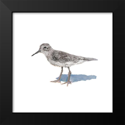 Sandpiper on White II Black Modern Wood Framed Art Print by Johnson, Walt