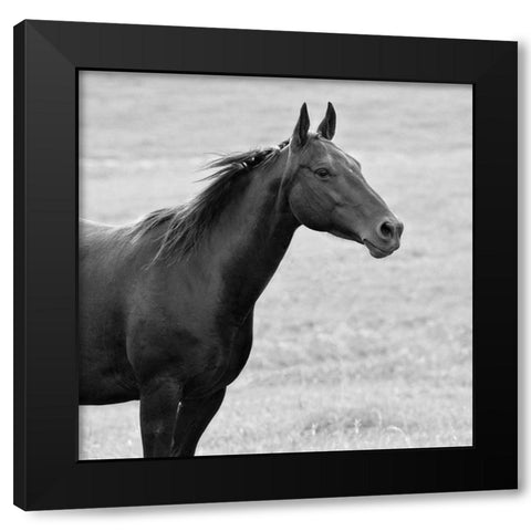 On Sight Black Modern Wood Framed Art Print by Walker, Carol