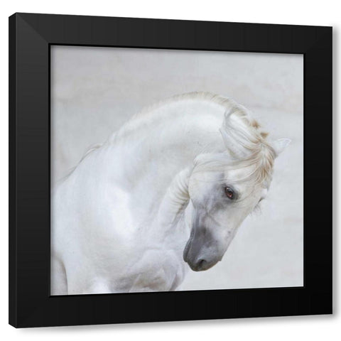 Graceful Pose Black Modern Wood Framed Art Print by Walker, Carol