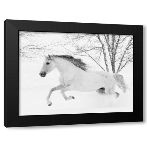 Running in the Snow Black Modern Wood Framed Art Print with Double Matting by Walker, Carol