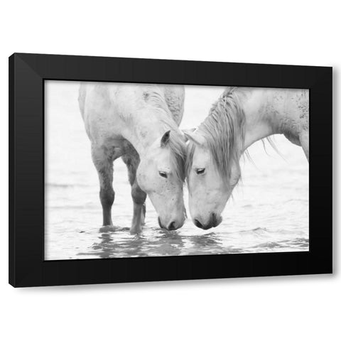 White Water Horses Black Modern Wood Framed Art Print by Walker, Carol