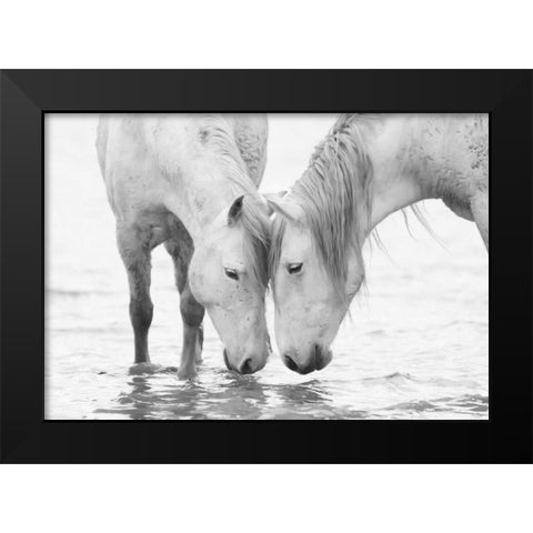 White Water Horses Black Modern Wood Framed Art Print by Walker, Carol