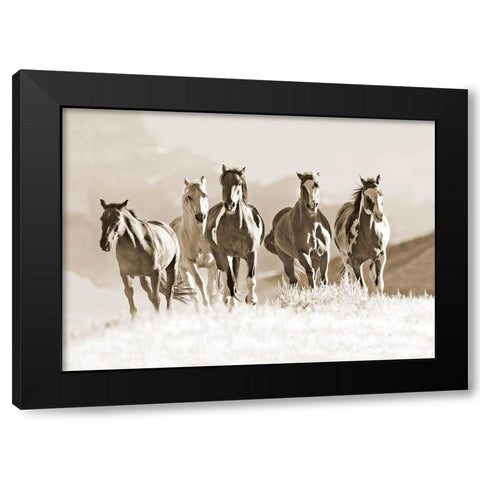 Mountain Run Black Modern Wood Framed Art Print by Walker, Carol