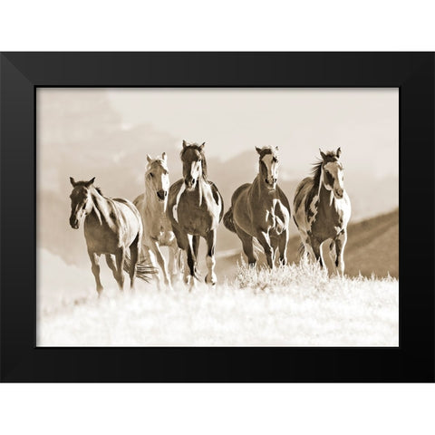 Mountain Run Black Modern Wood Framed Art Print by Walker, Carol