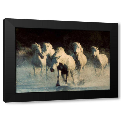 White Running Horses Black Modern Wood Framed Art Print with Double Matting by Walker, Carol