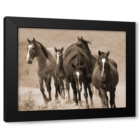 Waterhole March Black Modern Wood Framed Art Print with Double Matting by Walker, Carol