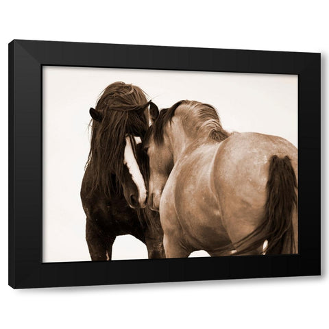 Horses Courting Black Modern Wood Framed Art Print by Walker, Carol