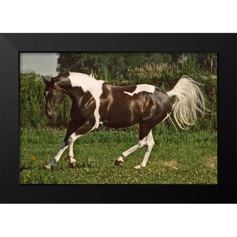 Before The Race Black Modern Wood Framed Art Print by Walker, Carol