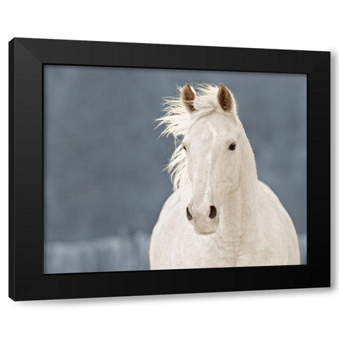 The Lucky One Black Modern Wood Framed Art Print by Walker, Carol