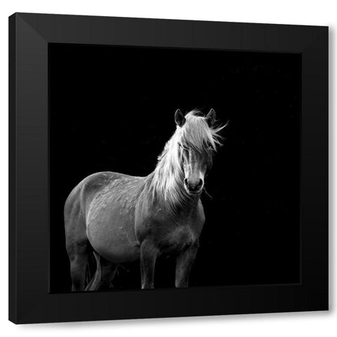 The Mare Black Modern Wood Framed Art Print with Double Matting by Walker, Carol