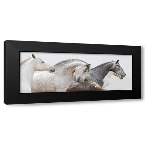 Pointing The Way Black Modern Wood Framed Art Print by Walker, Carol