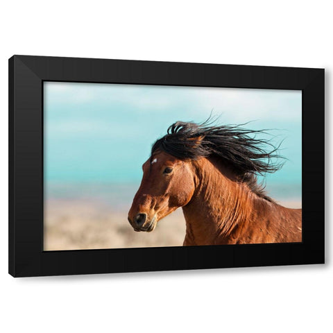 Running Horse Black Modern Wood Framed Art Print by Walker, Carol