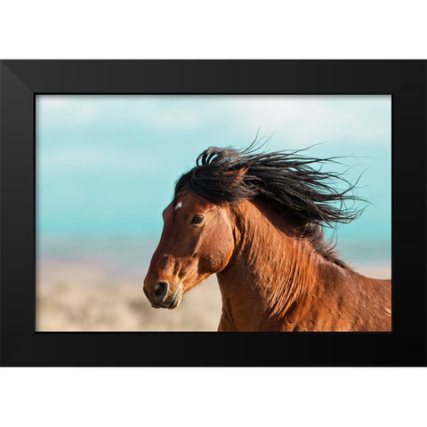 Running Horse Black Modern Wood Framed Art Print by Walker, Carol