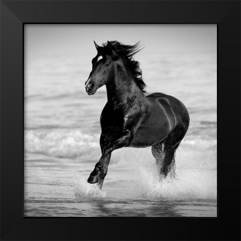 Bay in the Water Black Modern Wood Framed Art Print by Walker, Carol