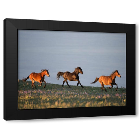 Chase of Life Black Modern Wood Framed Art Print by Walker, Carol