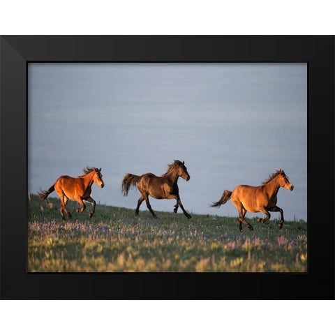 Chase of Life Black Modern Wood Framed Art Print by Walker, Carol