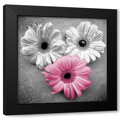 Tropical Floral Bunch Border I Black Modern Wood Framed Art Print by Peck, Gail