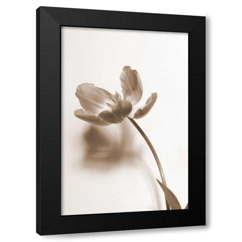 Delicate Floral I Black Modern Wood Framed Art Print with Double Matting by Peck, Gail