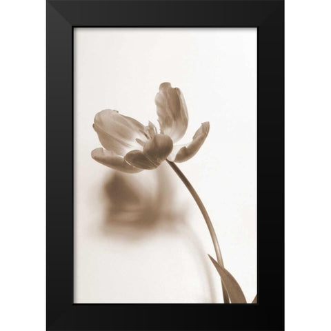Delicate Floral I Black Modern Wood Framed Art Print by Peck, Gail