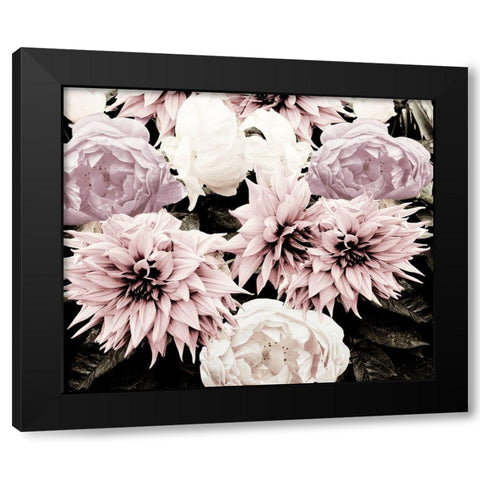 Pink Washed Garden Black Modern Wood Framed Art Print by Navas, Emily
