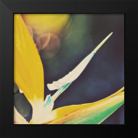 Tropical Floral I Black Modern Wood Framed Art Print by Peck, Gail