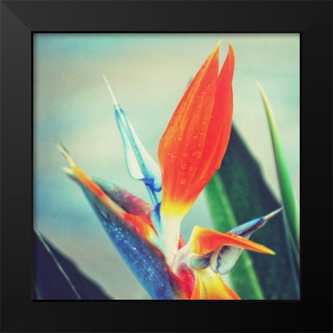 Tropical Floral II Black Modern Wood Framed Art Print by Peck, Gail