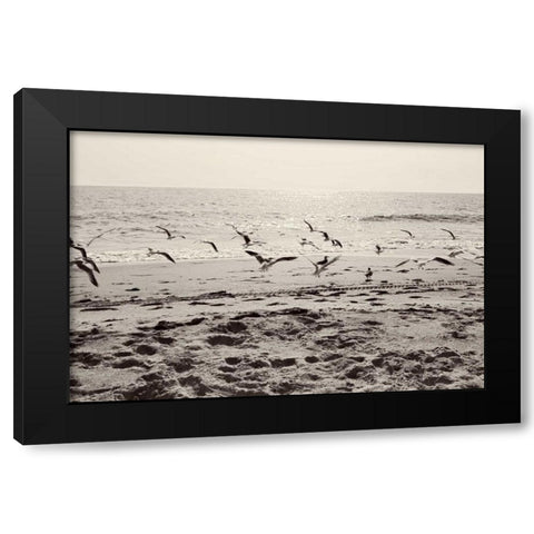 Dream of the Beach I Black Modern Wood Framed Art Print with Double Matting by Bryant, Susan
