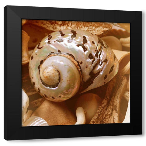 By the Seashore Square II Black Modern Wood Framed Art Print with Double Matting by Bryant, Susan