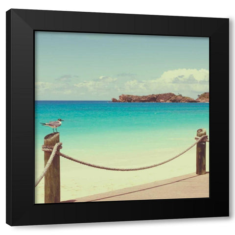 On Deck II Black Modern Wood Framed Art Print by Bryant, Susan